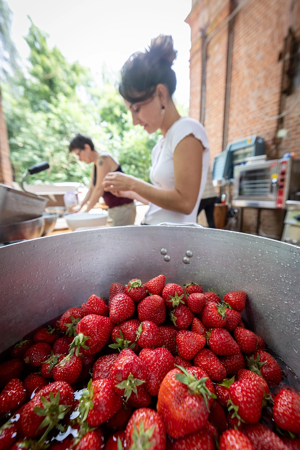 EXM Matrimonio Sel Web 13